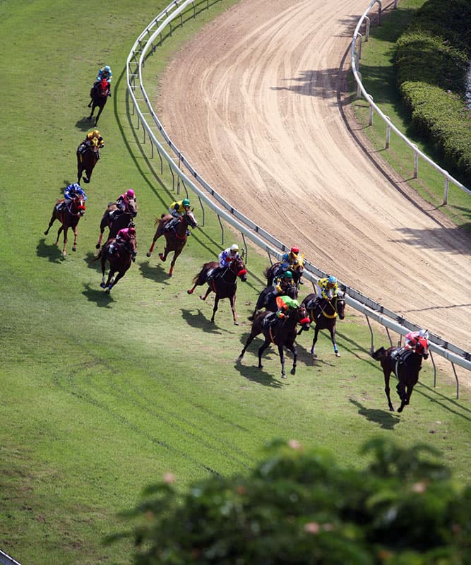 Horse-race in progress; testing procedure in laboratory